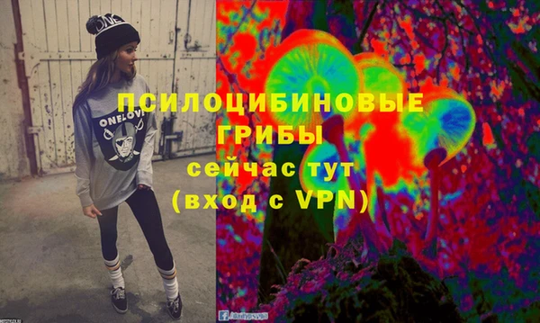 spice Алексин