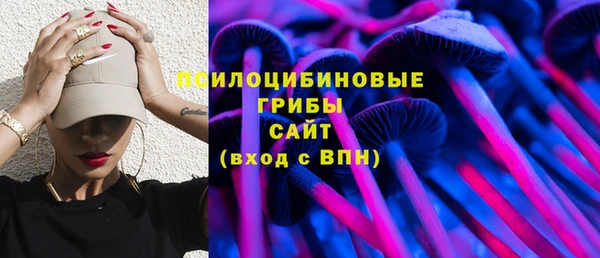 spice Алексин
