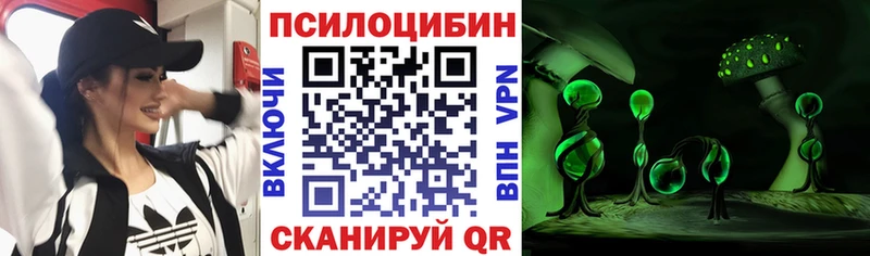 хочу наркоту  Сельцо  Псилоцибиновые грибы MAGIC MUSHROOMS 