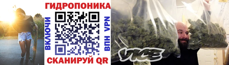 даркнет сайт  Сельцо  Бошки марихуана VHQ 